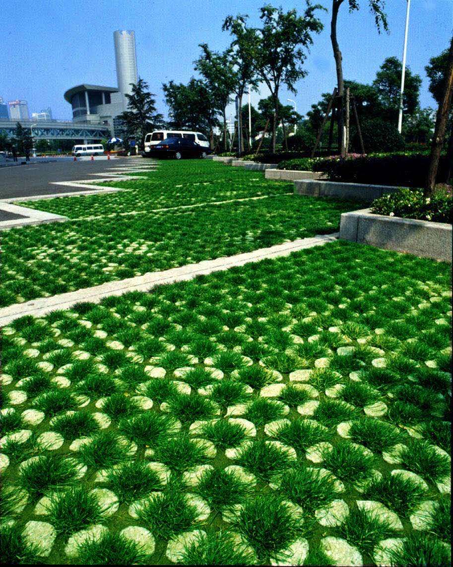 開(kāi)封植草格,菏澤塑料植草格